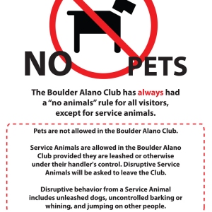 no_Pets_B